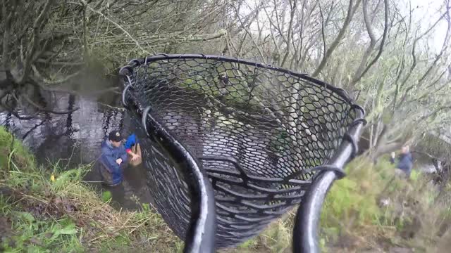 Project Coho Jumpstart