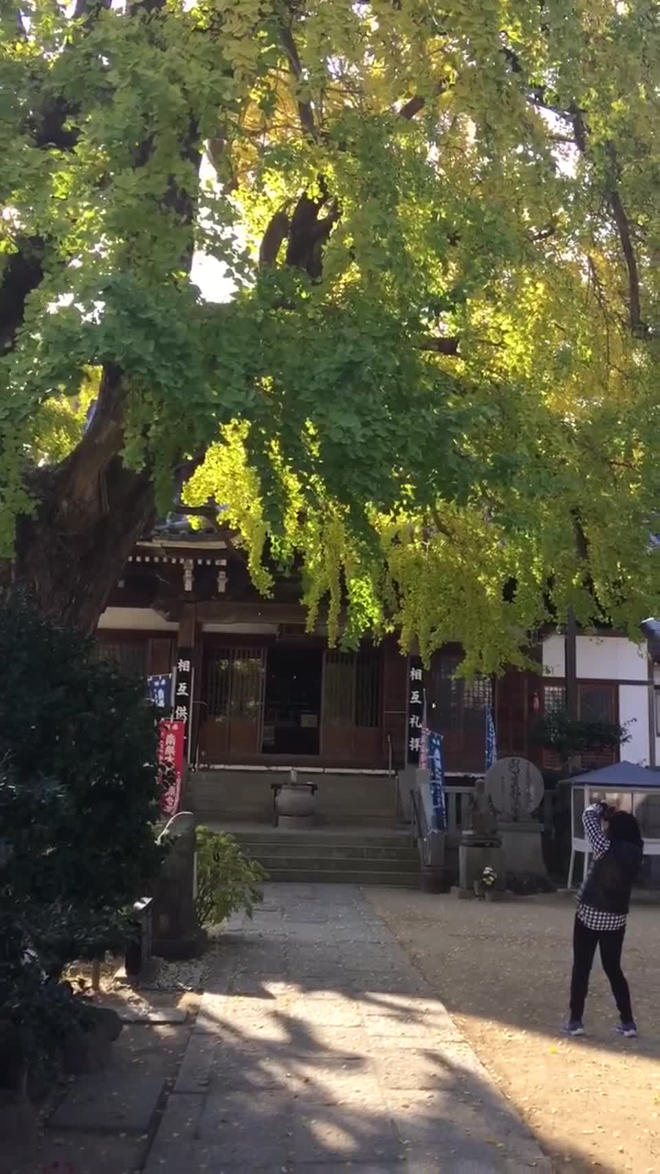 Falliage in Shikuko, Japan
