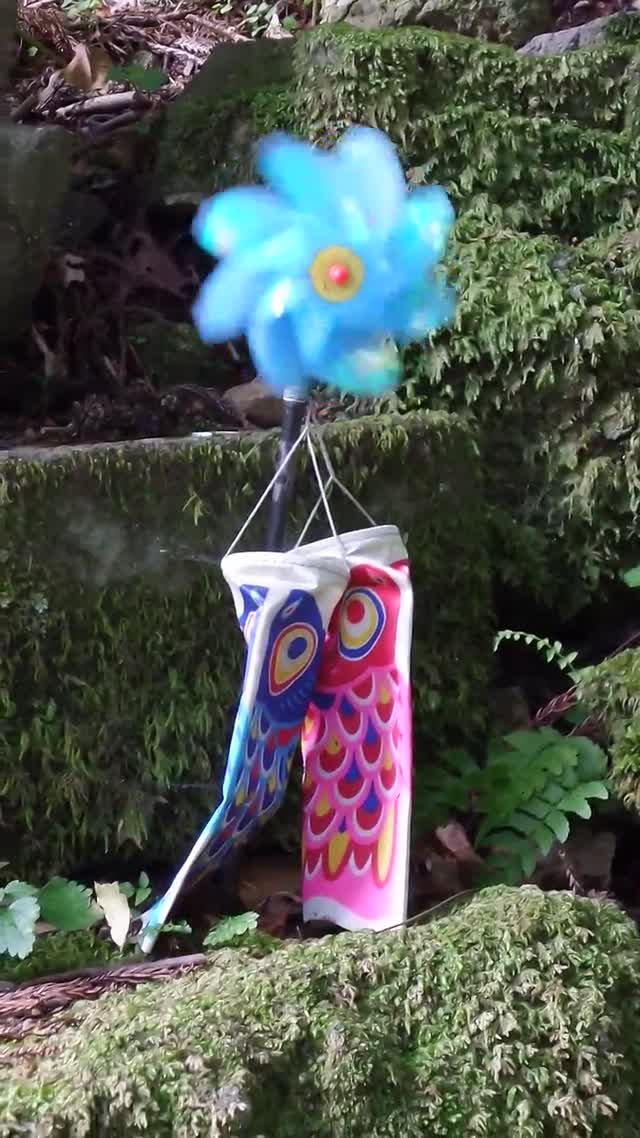 20160715_150248