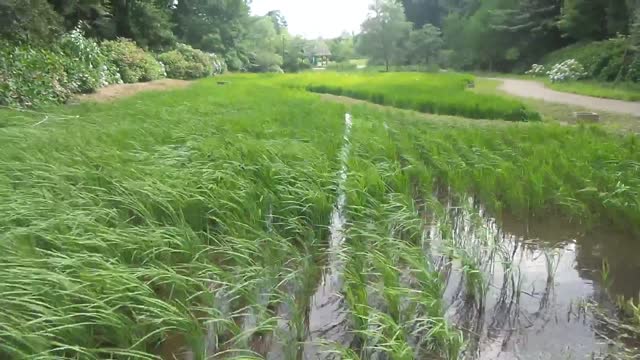 20150719_153511