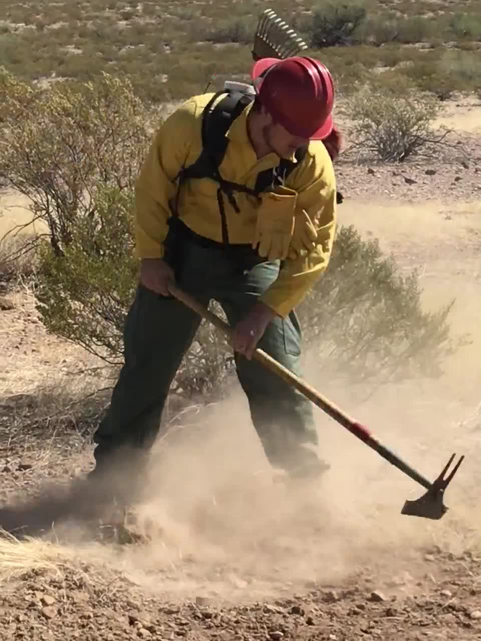 Wildland firefighters for the Gila District
