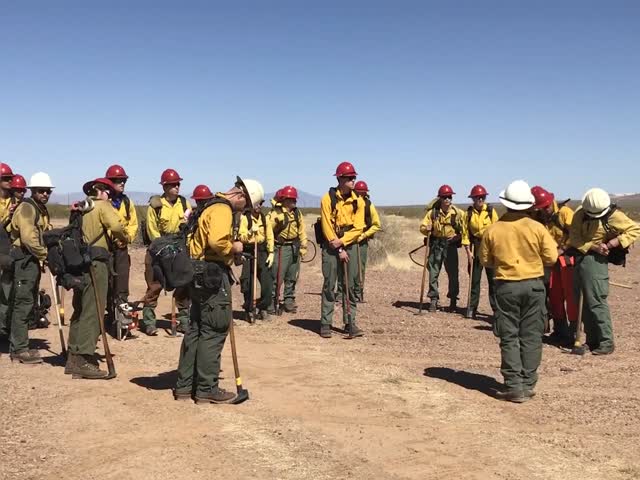 Wildland firefighters for the Gila District