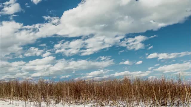 Time Lapse 001