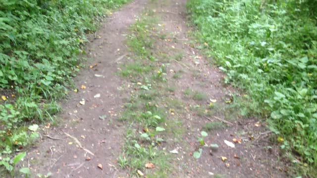 Clear Creek Metro Park