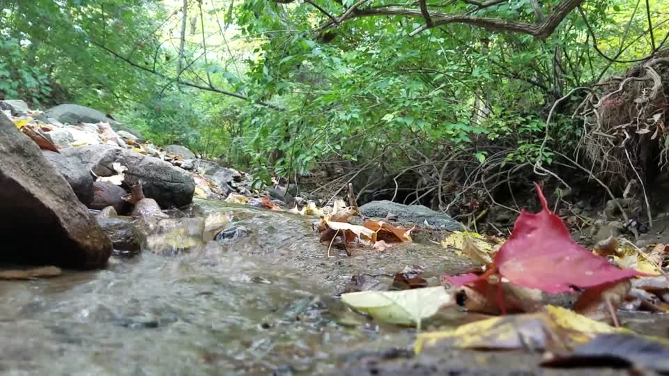 Smith Nature Park and Slyh Run