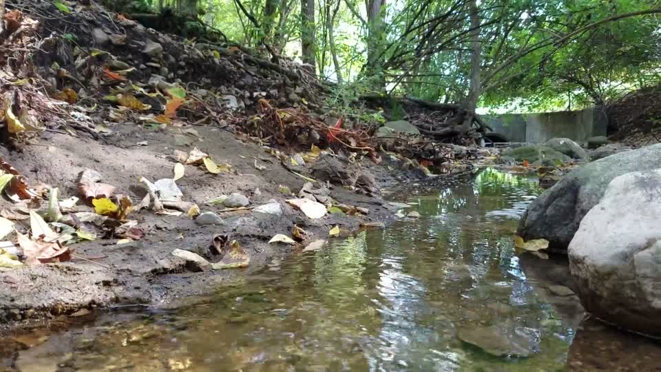 Smith Nature Park and Slyh Run