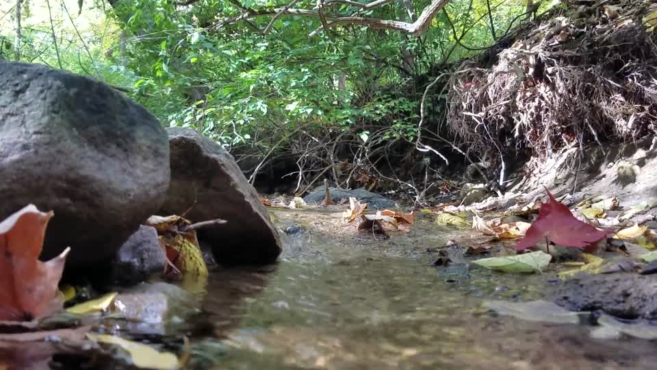Smith Nature Park and Slyh Run