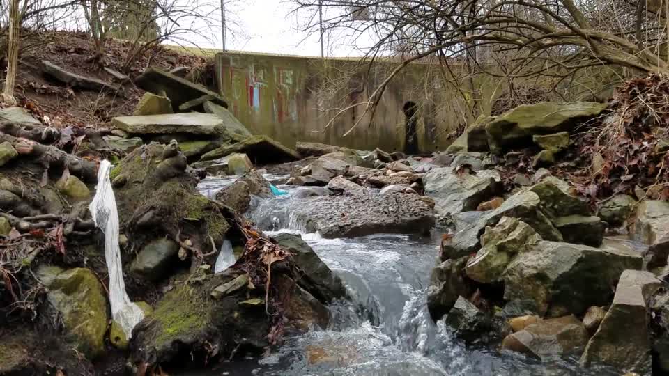 Smith Nature Park and Slyh Run