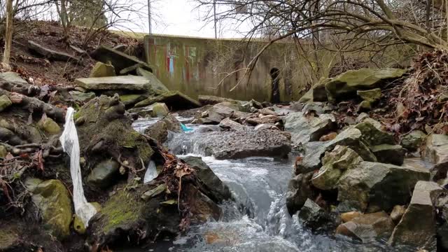 Smith Nature Park and Slyh Run