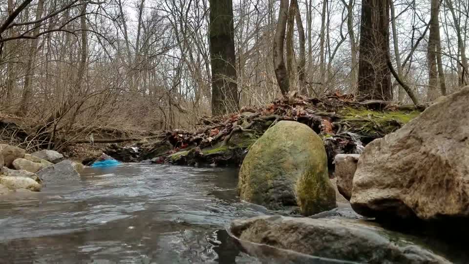 Smith Nature Park and Slyh Run