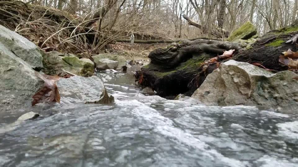 Smith Nature Park and Slyh Run