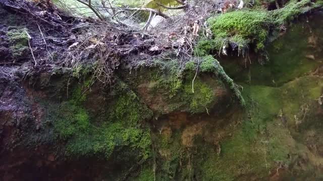 Cedar Falls