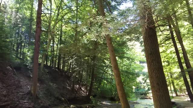Cedar Falls