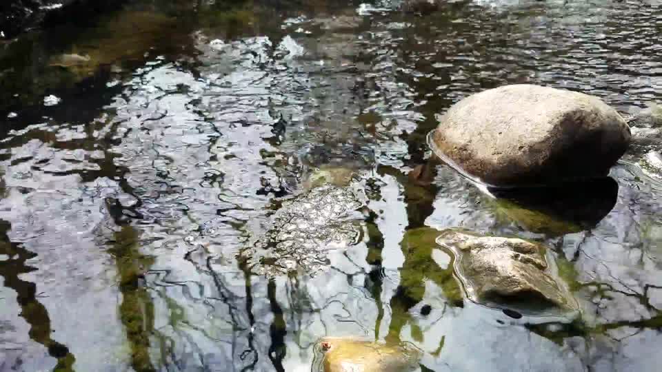 Smith Nature Park and Slyh Run
