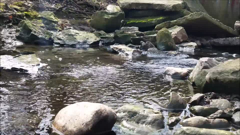 Smith Nature Park and Slyh Run
