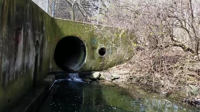Smith Nature Park and Slyh Run