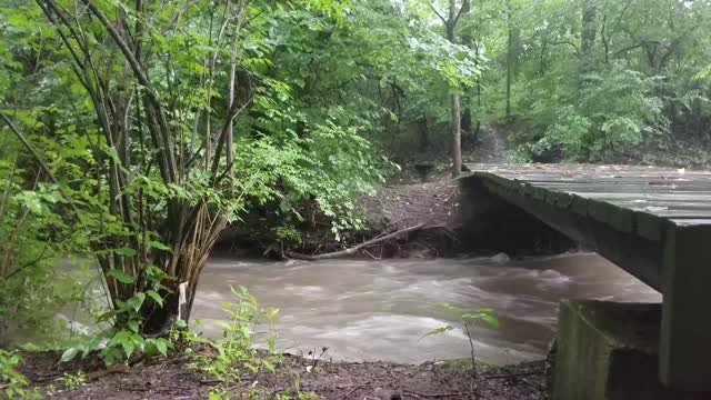 Smith Nature Park and Slyh Run