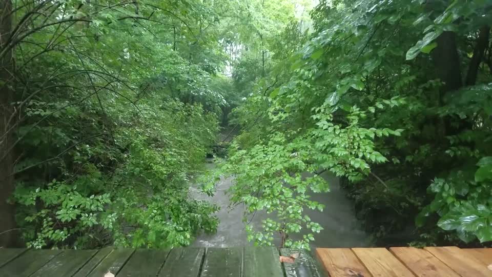 Smith Nature Park and Slyh Run