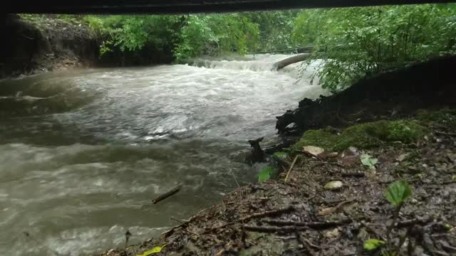 Smith Nature Park and Slyh Run