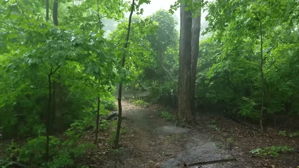 Smith Nature Park and Slyh Run