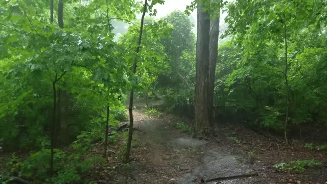 Smith Nature Park and Slyh Run