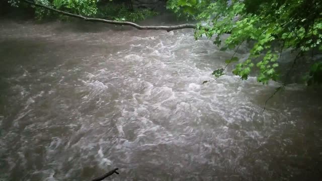 Smith Nature Park and Slyh Run