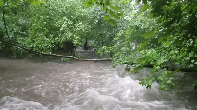 Smith Nature Park and Slyh Run