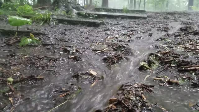 Smith Nature Park and Slyh Run