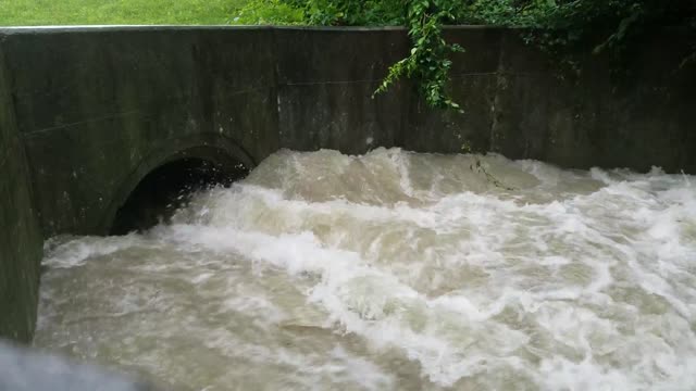 Smith Nature Park and Slyh Run