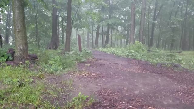 Smith Nature Park and Slyh Run