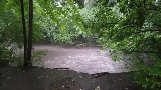 Smith Nature Park and Slyh Run