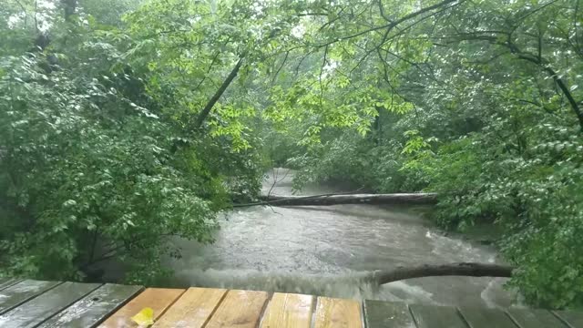 Smith Nature Park and Slyh Run