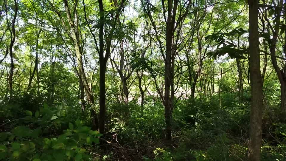 Chadwick Arboretum and Learning Gardens