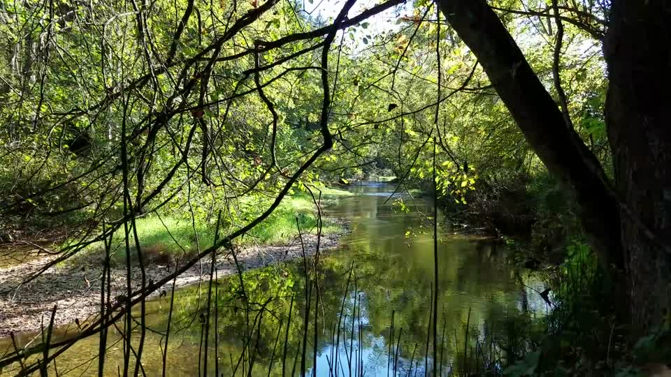 Clear Creek Metro Park
