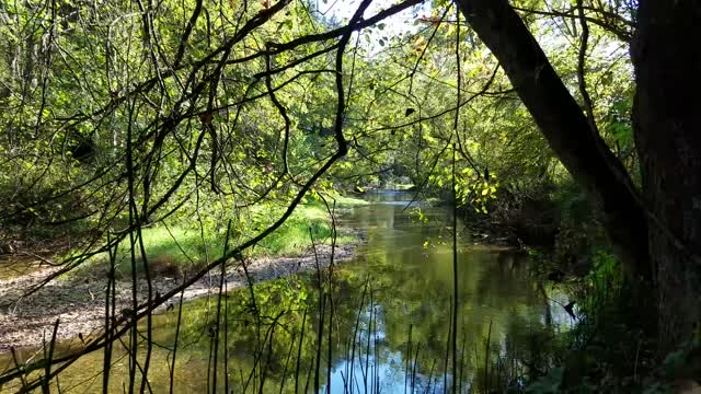 Clear Creek Metro Park