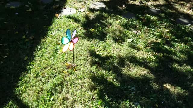 Pinwheel
