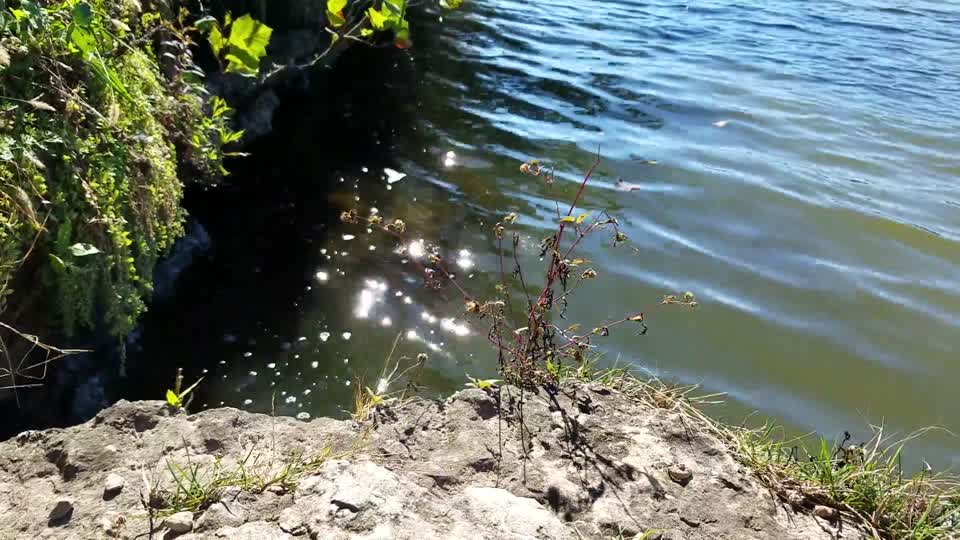 Park along Scioto River