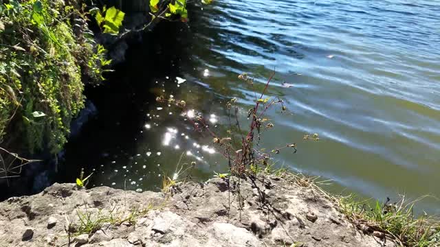 Park along Scioto River