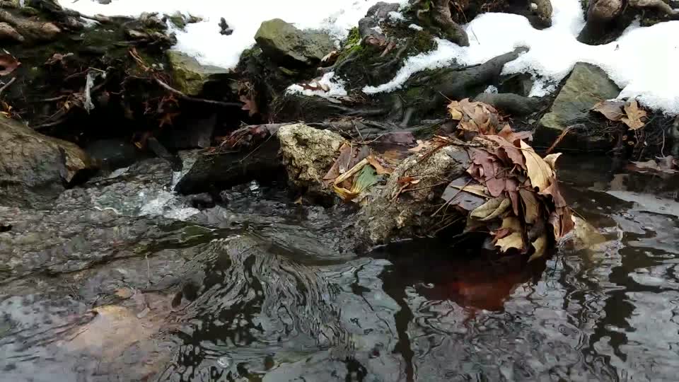 Smith Nature Park and Slyh Run
