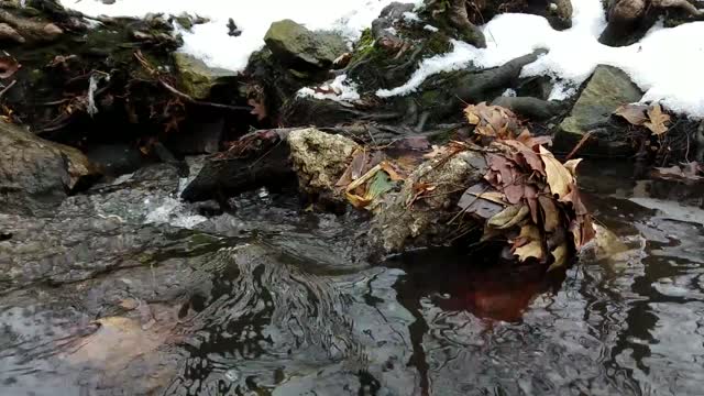 Smith Nature Park and Slyh Run