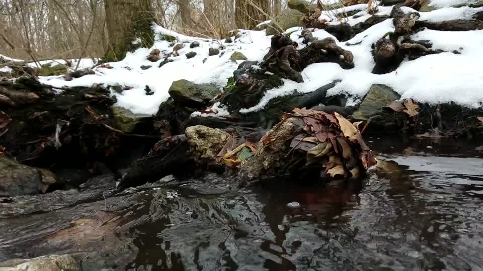 Smith Nature Park and Slyh Run