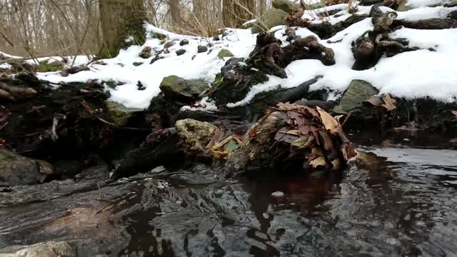 Smith Nature Park and Slyh Run