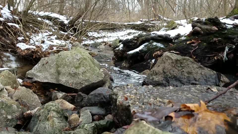 Smith Nature Park and Slyh Run