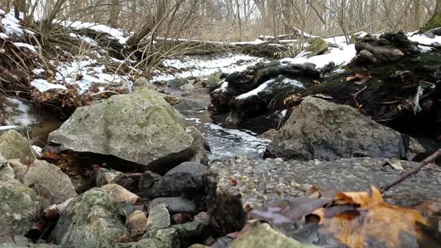 Smith Nature Park and Slyh Run