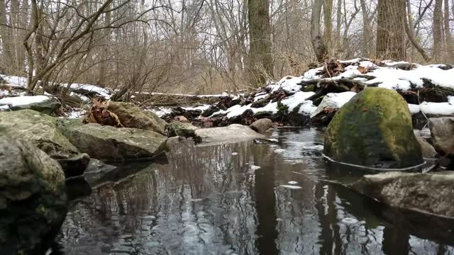 Smith Nature Park and Slyh Run