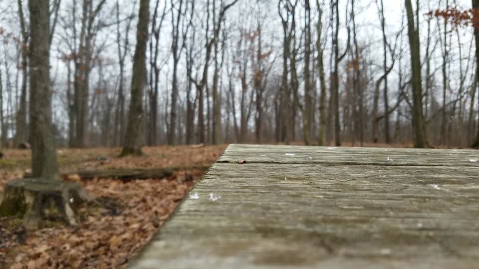 Smith Nature Park and Slyh Run