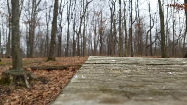 Smith Nature Park and Slyh Run