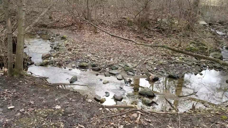Smith Nature Park and Slyh Run