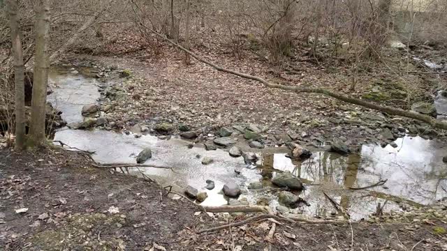 Smith Nature Park and Slyh Run