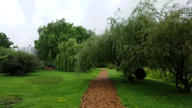 Chadwick Arboretum and Learning Gardens